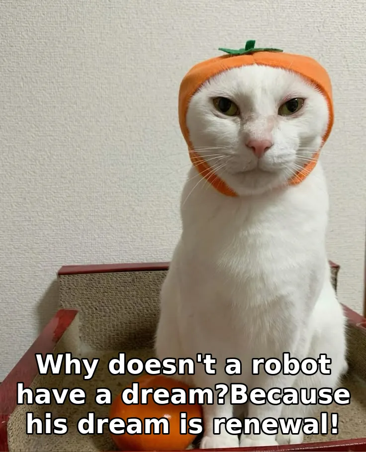 Why doesn't a robot have a dream?Because his dream is renewal!