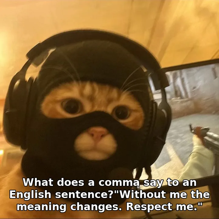 What does a comma say to an English sentence?"Without me the meaning changes. R…