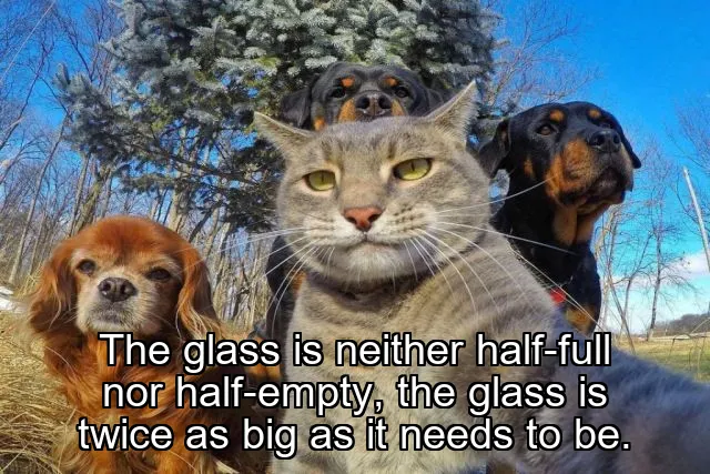 The glass is neither half-full nor half-empty, the glass is twice as big as it …