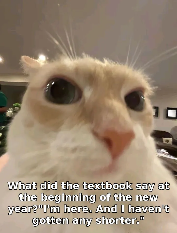 What did the textbook say at the beginning of the new year?"I'm here. And I hav…
