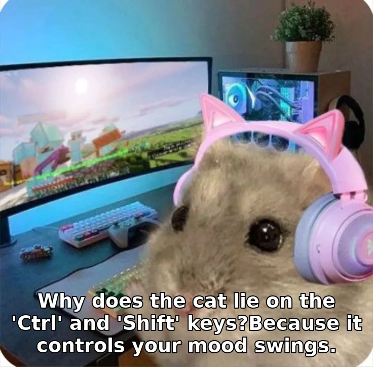 Meme image