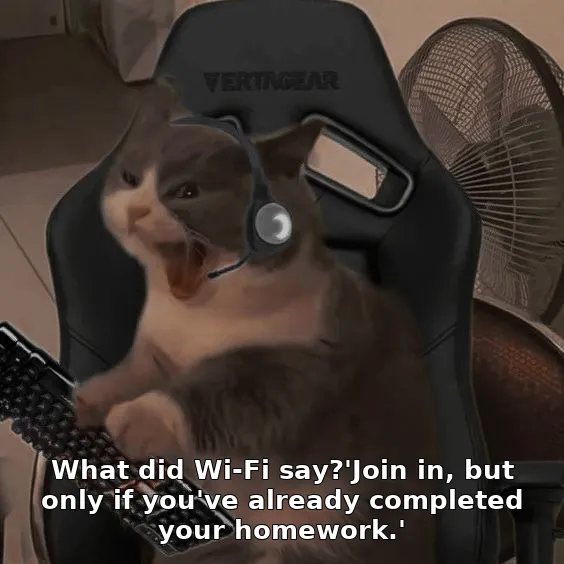 What did Wi-Fi say?'Join in, but only if you've already completed your homework…