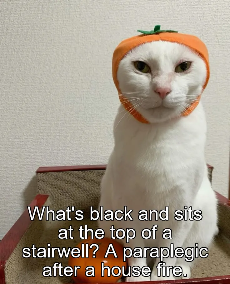 What's black and sits at the top of a stairwell? A paraplegic after a house fir…