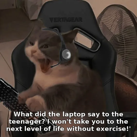Meme image