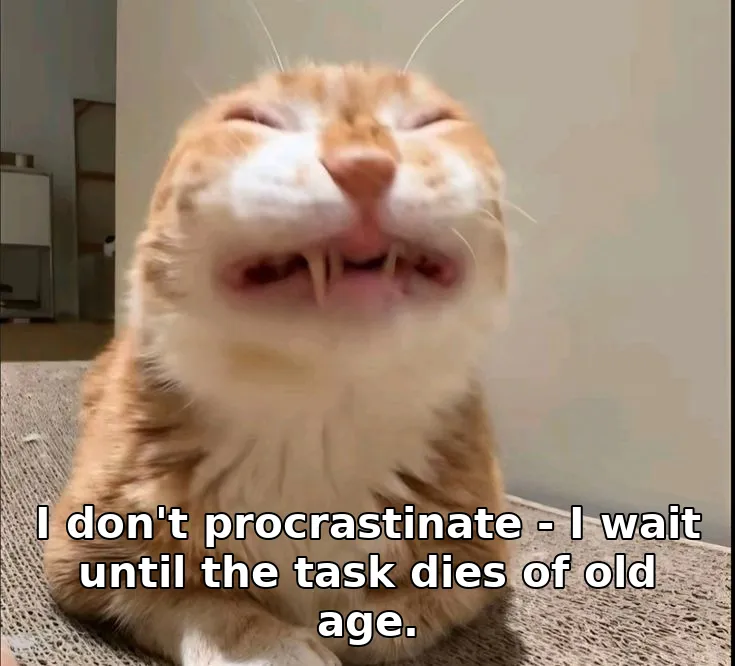 I don't procrastinate - I wait until the task dies of old age.