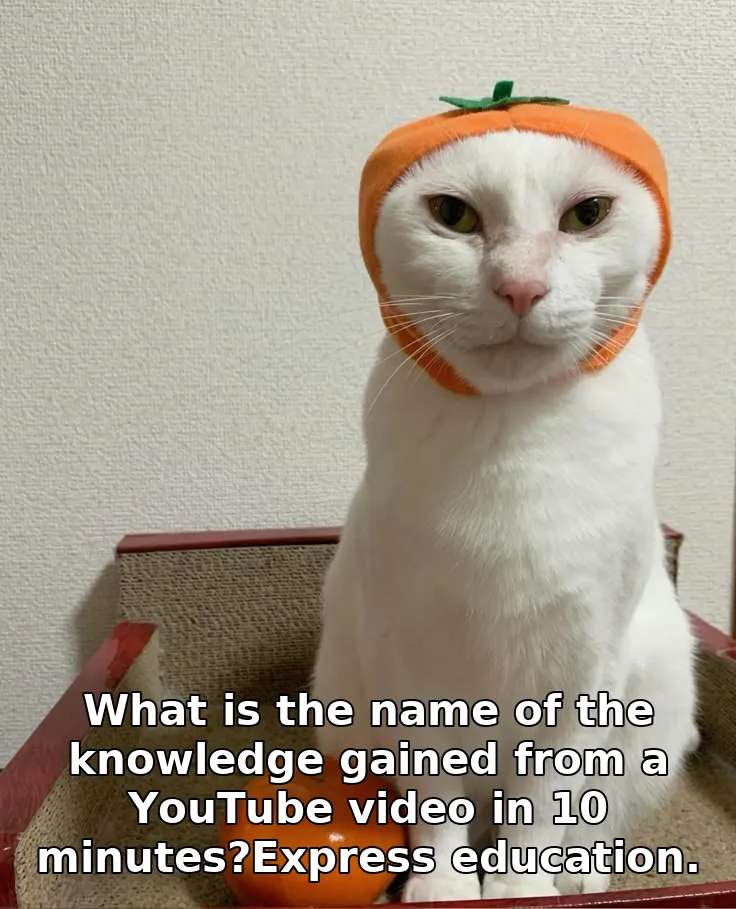 What is the name of the knowledge gained from a YouTube video in 10 minutes?Exp…