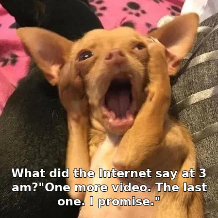 What did the Internet say at 3 am?"One more video. The last one. I promise."