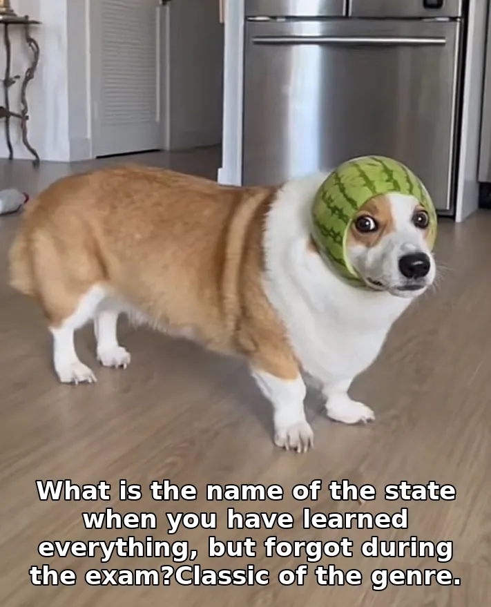What is the name of the state when you have learned everything, but forgot duri…