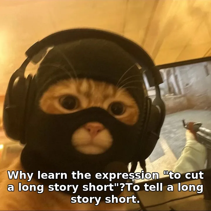 Why learn the expression "to cut a long story short"?To tell a long story short.