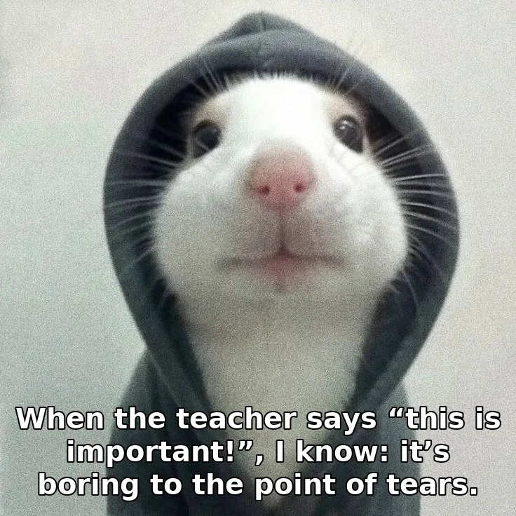When the teacher says “this is important!”, I know: it’s boring to the point of…