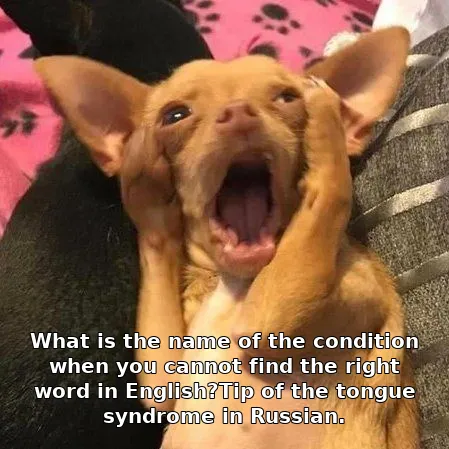 What is the name of the condition when you cannot find the right word in Englis…