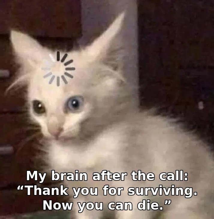 My brain after the call: “Thank you for surviving. Now you can die.”