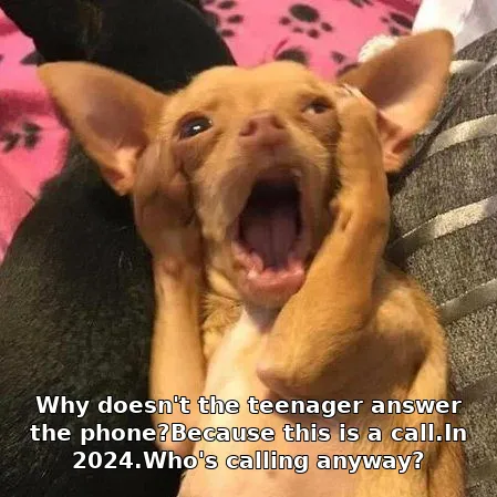Why doesn't the teenager answer the phone?Because this is a call.In 2024.Who's …
