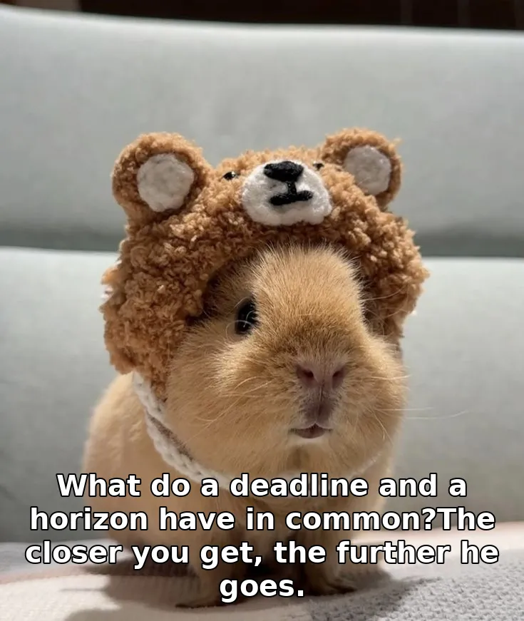 What do a deadline and a horizon have in common?The closer you get, the further…