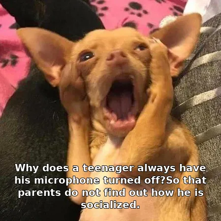 Why does a teenager always have his microphone turned off?So that parents do no…