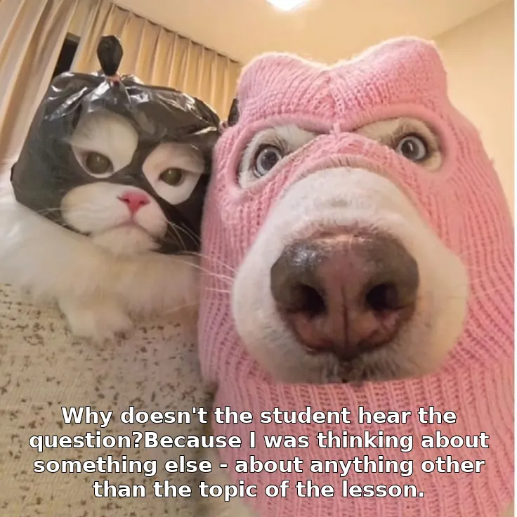 Why doesn't the student hear the question?Because I was thinking about something else - about anything other than the topic of the lesson.