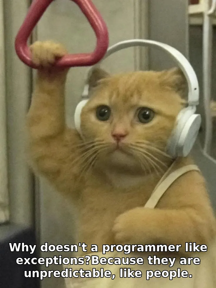 Why doesn't a programmer like exceptions?Because they are unpredictable, like p…