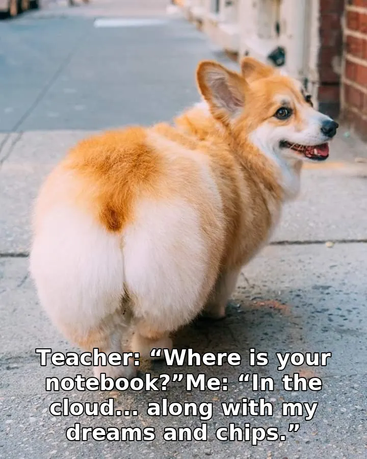 Teacher: “Where is your notebook?”Me: “In the cloud... along with my dreams and…