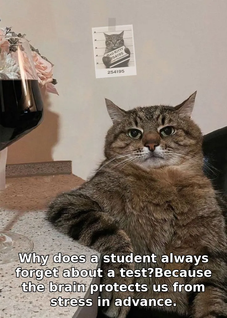 Why does a student always forget about a test?Because the brain protects us fro…