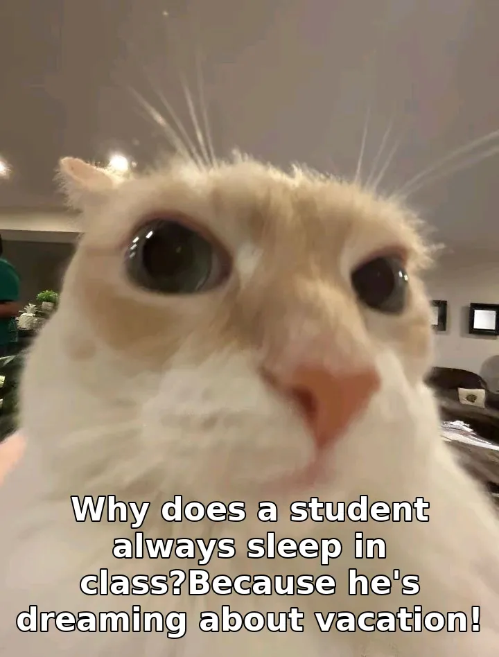 Why does a student always sleep in class?Because he's dreaming about vacation!
