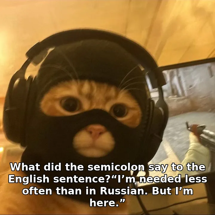 What did the semicolon say to the English sentence?“I’m needed less often than …