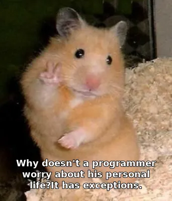 Why doesn't a programmer worry about his personal life?It has exceptions.