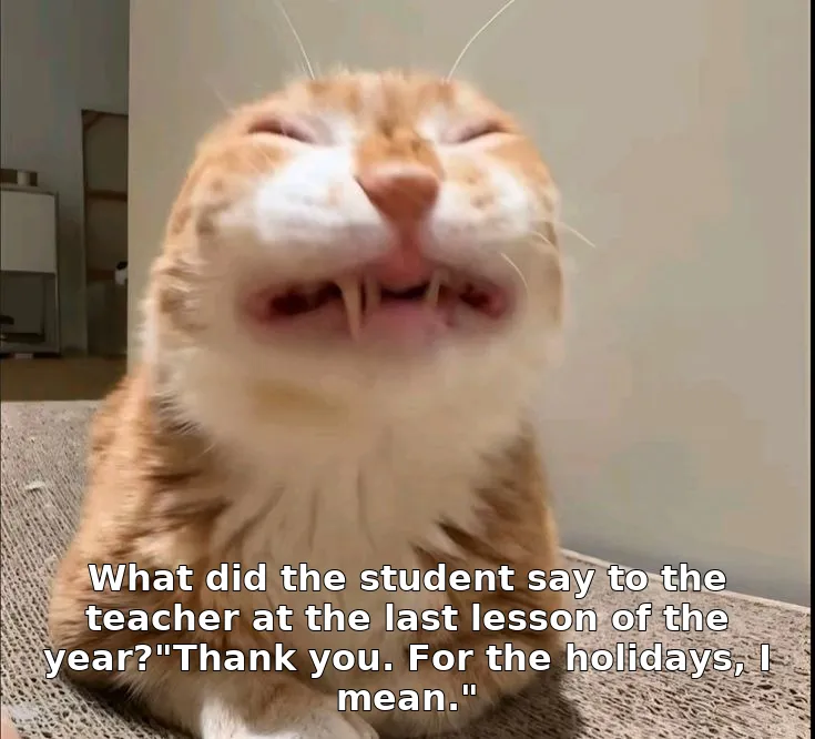 What did the student say to the teacher at the last lesson of the year?"Thank you. For the holidays, I mean."