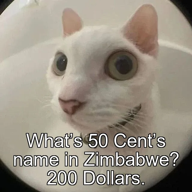 What’s 50 Cent’s name in Zimbabwe? 200 Dollars.