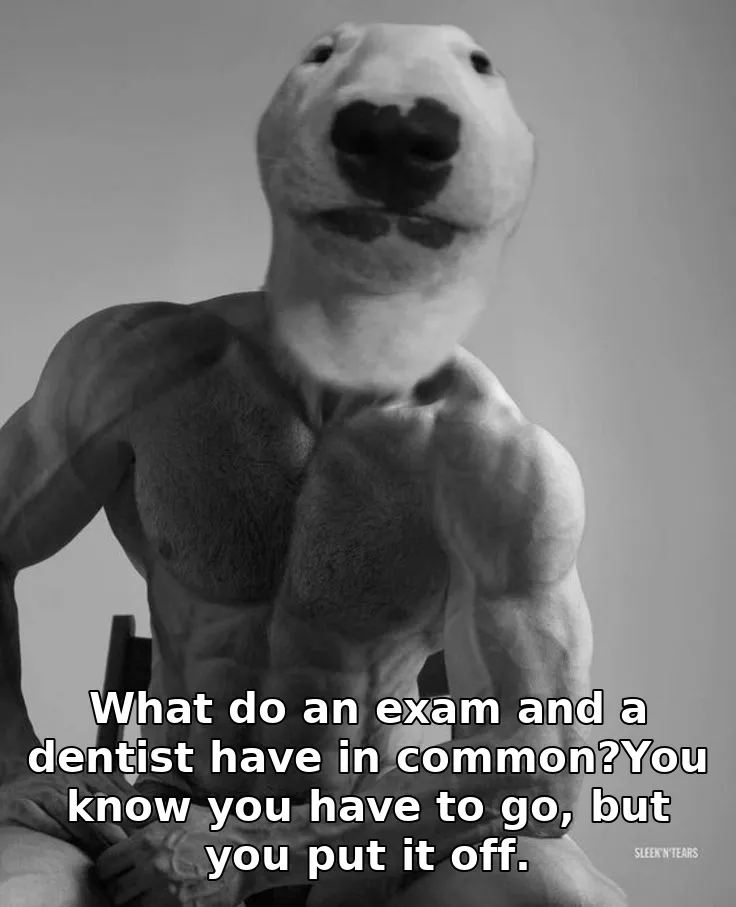 What do an exam and a dentist have in common?You know you have to go, but you p…