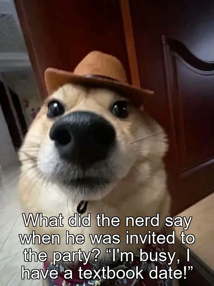 What did the nerd say when he was invited to the party? “I'm busy, I have a textbook date!”