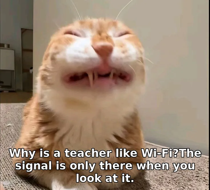 Meme image