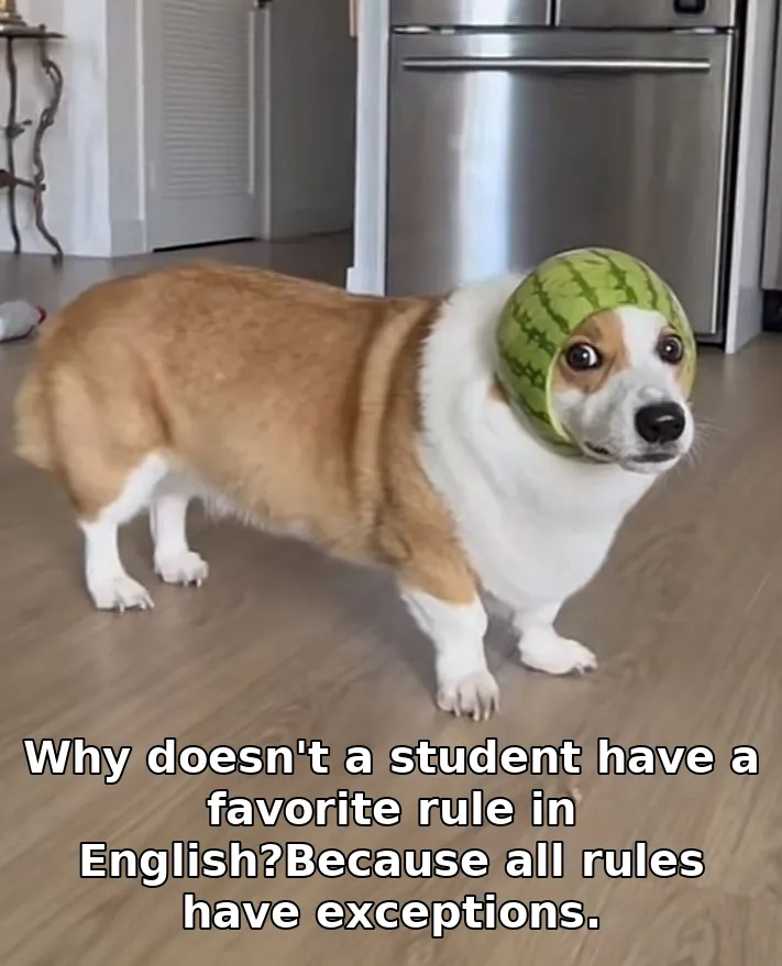 Why doesn't a student have a favorite rule in English?Because all rules have ex…
