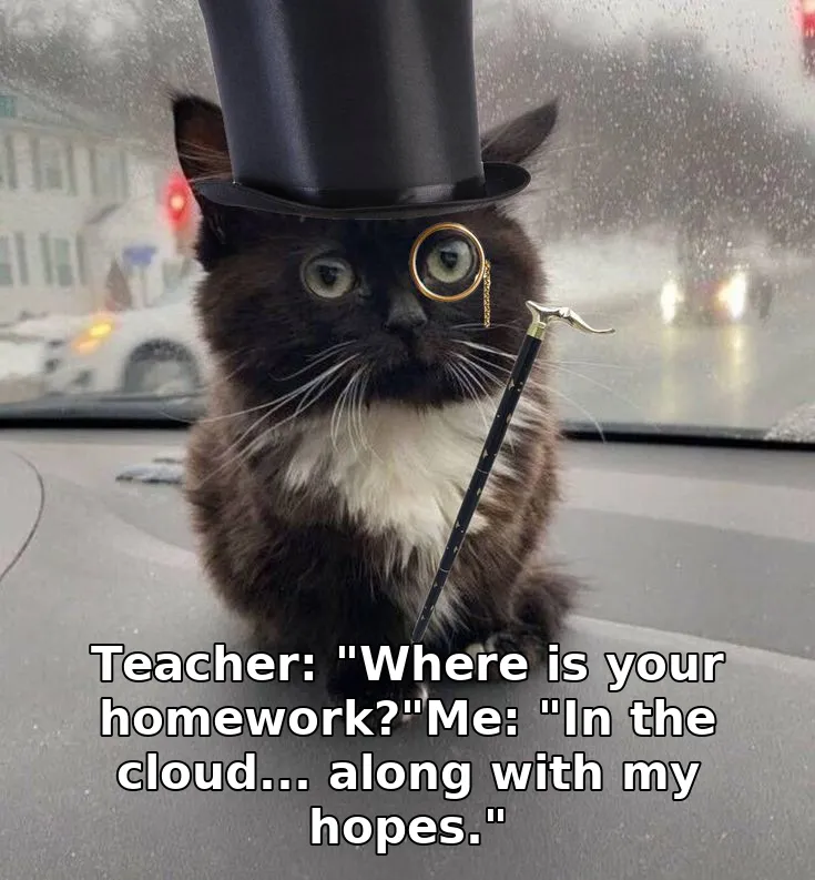 Teacher: "Where is your homework?"Me: "In the cloud... along with my hopes."