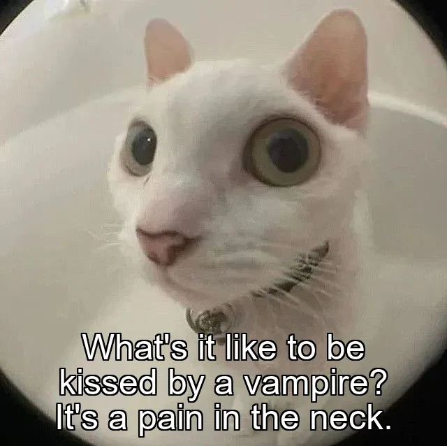 What's it like to be kissed by a vampire? It's a pain in the neck.