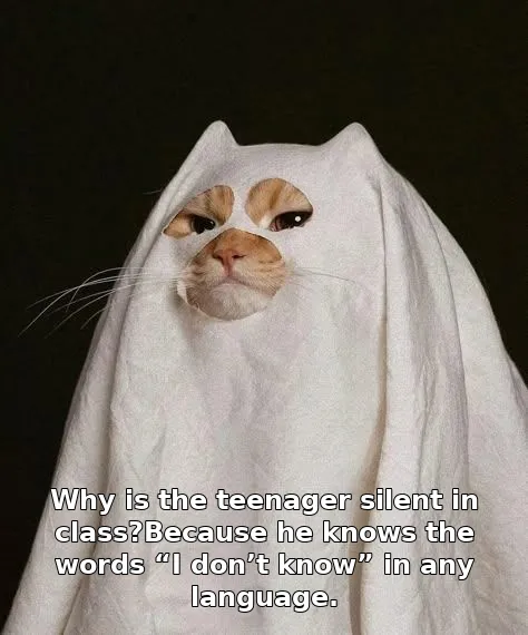 Why is the teenager silent in class?Because he knows the words “I don’t know” i…