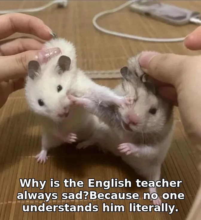 Meme image
