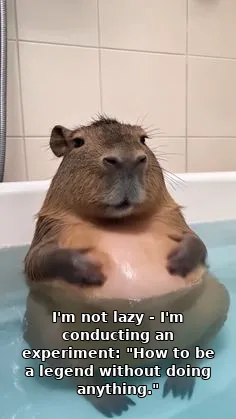 I'm not lazy - I'm conducting an experiment: "How to be a legend without doing anything."