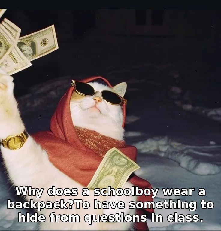 Why does a schoolboy wear a backpack?To have something to hide from questions i…