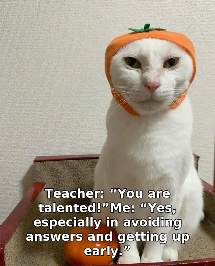 Teacher: “You are talented!”Me: “Yes, especially in avoiding answers and gettin…