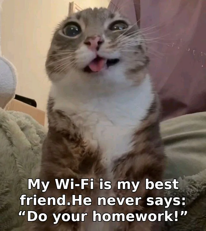 My Wi-Fi is my best friend.He never says: “Do your homework!”