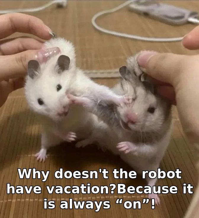 Why doesn't the robot have vacation?Because it is always “on”!