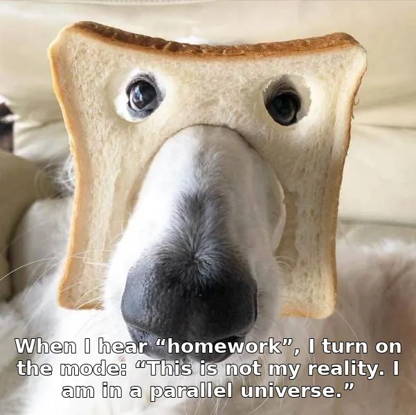 Meme image