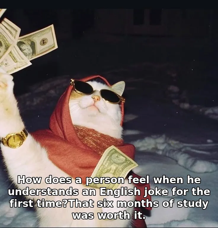 How does a person feel when he understands an English joke for the first time?That six months of study was worth it.