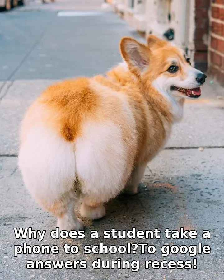 Why does a student take a phone to school?To google answers during recess!