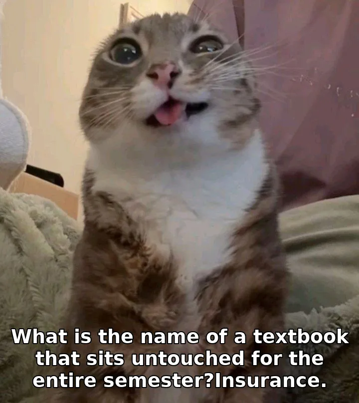 What is the name of a textbook that sits untouched for the entire semester?Insu…