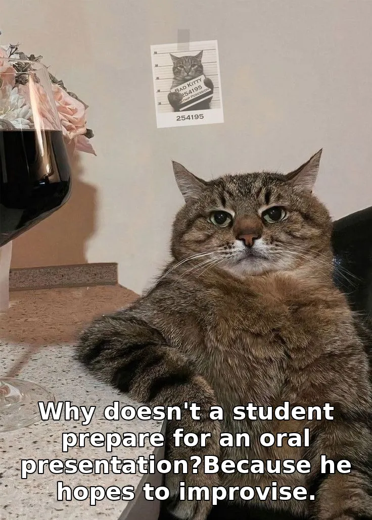Meme image