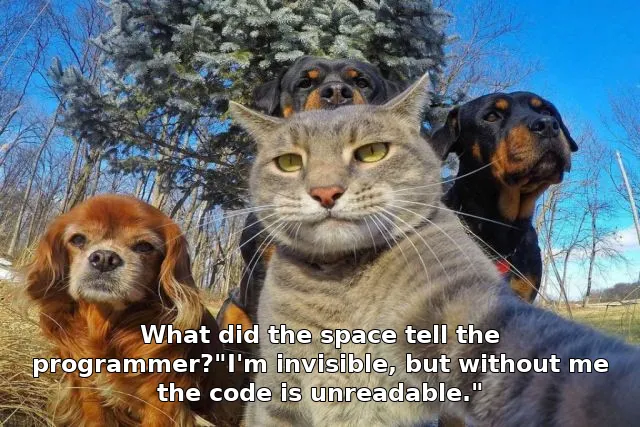 What did the space tell the programmer?"I'm invisible, but without me the code …