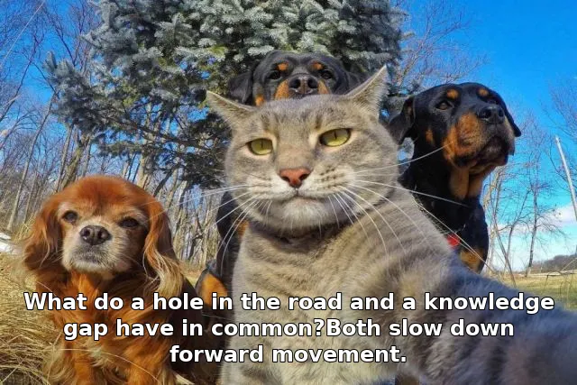 What do a hole in the road and a knowledge gap have in common?Both slow down fo…