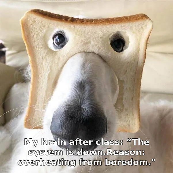My brain after class: “The system is down.Reason: overheating from boredom."