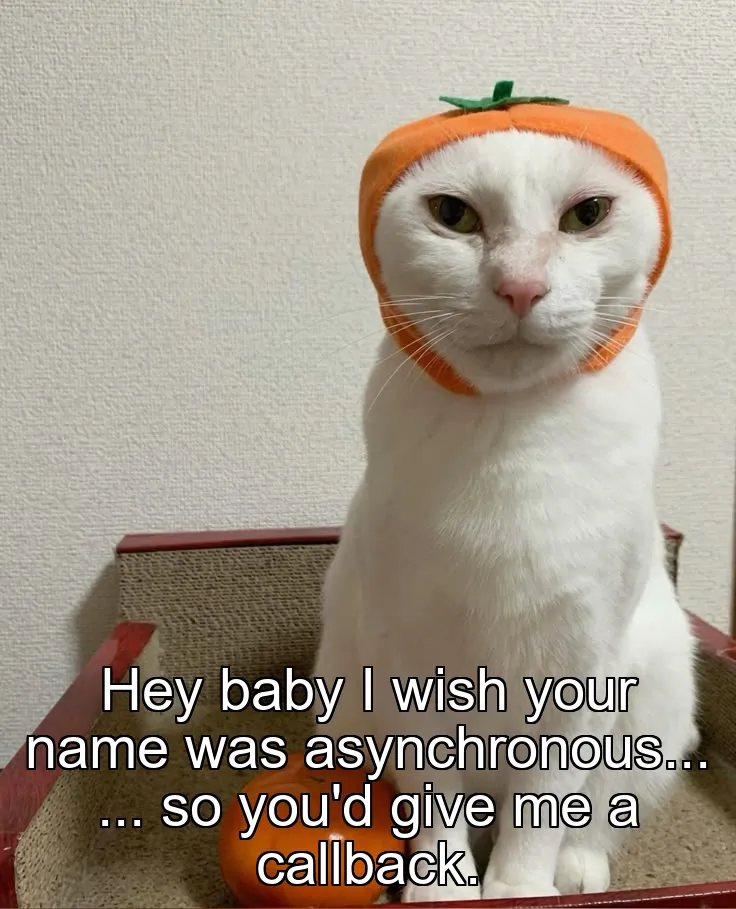 Hey baby I wish your name was asynchronous... ... so you'd give me a callback.